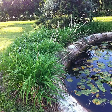 Bed & Breakfast Soiano Del